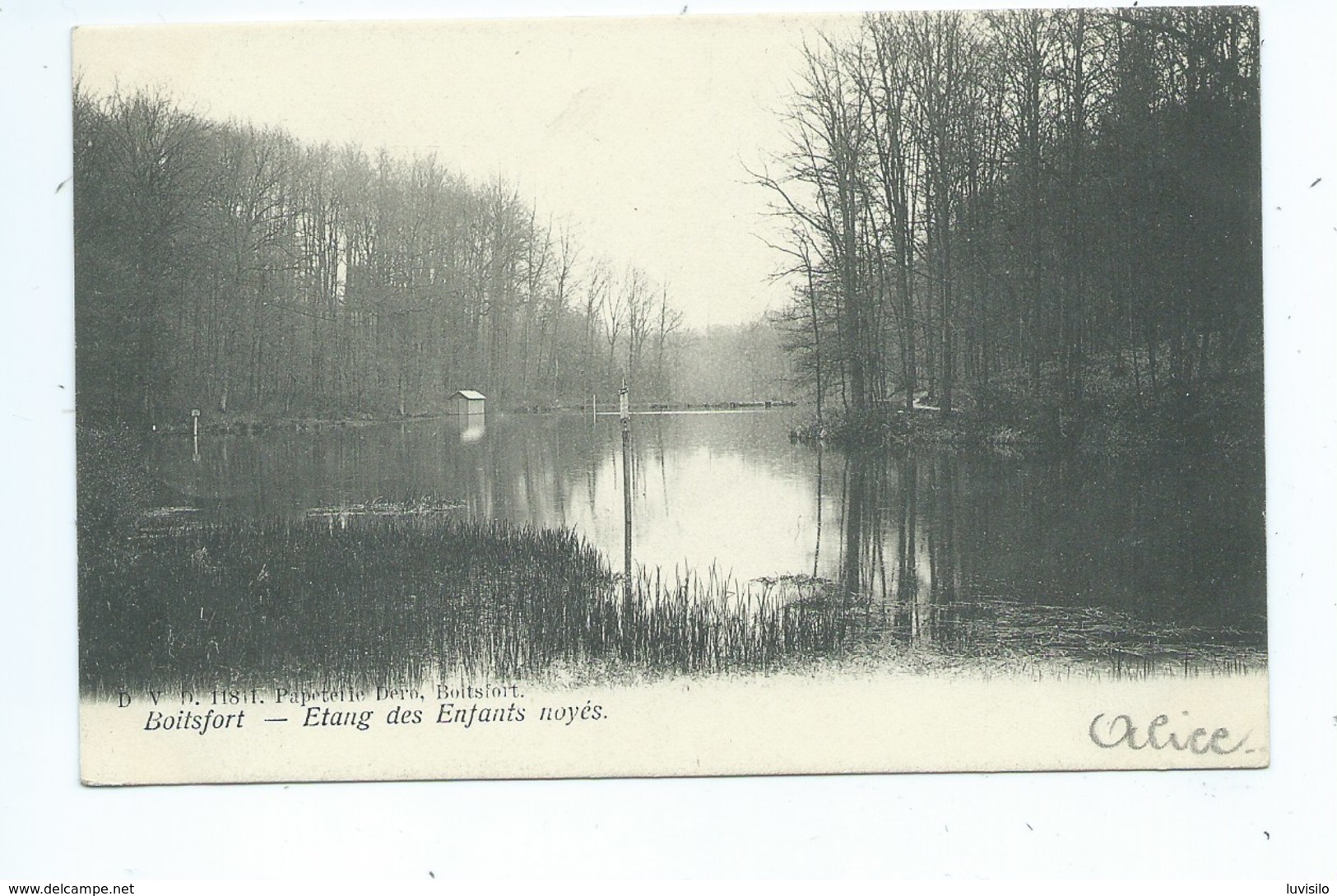 Boitsfort Etang Des Enfants Noyés DVD No 11811 - Watermael-Boitsfort - Watermaal-Bosvoorde