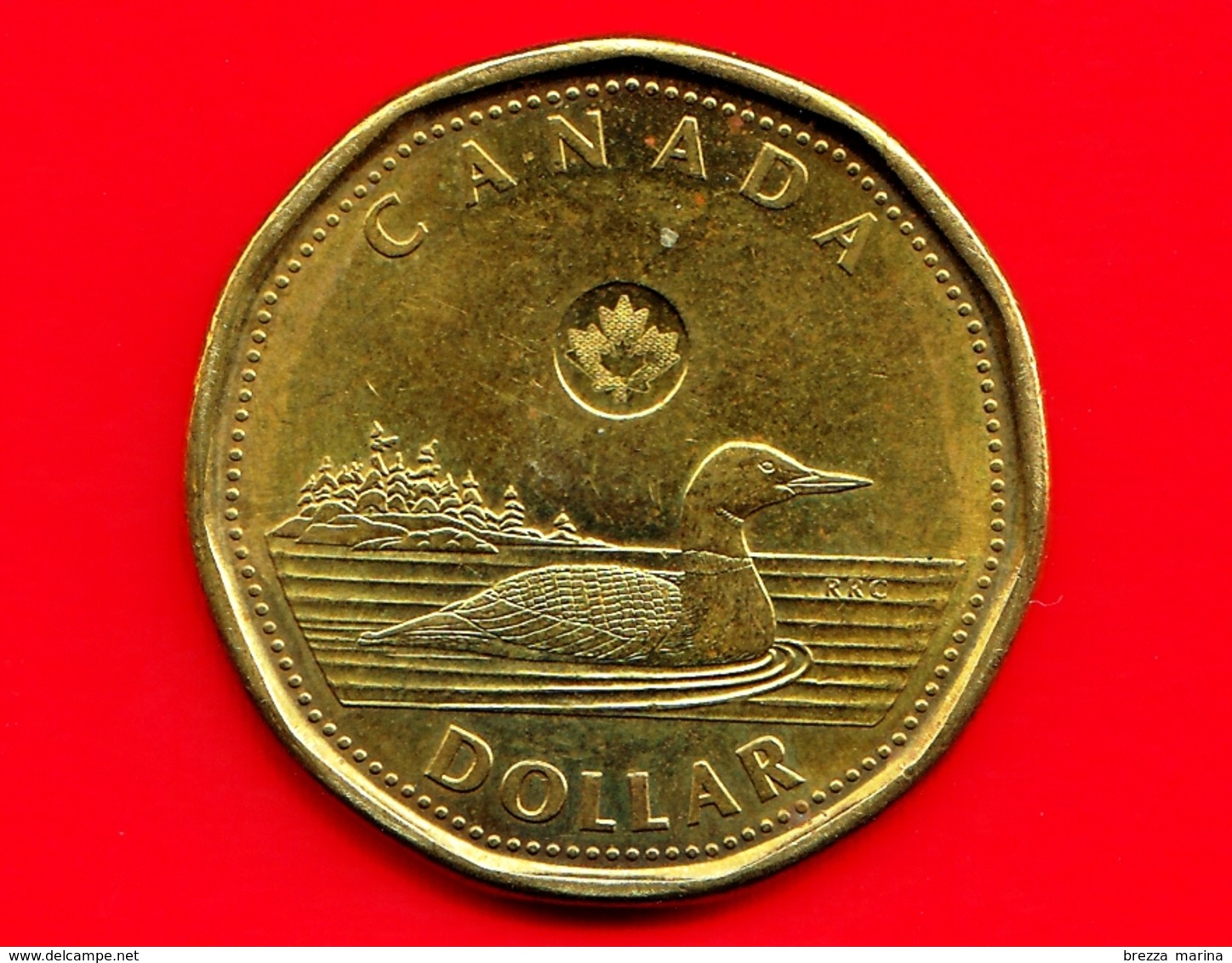 CANADA - 2015 - Moneta - Common Loon - Regina Elisabetta - Dollar - $1 - Canada