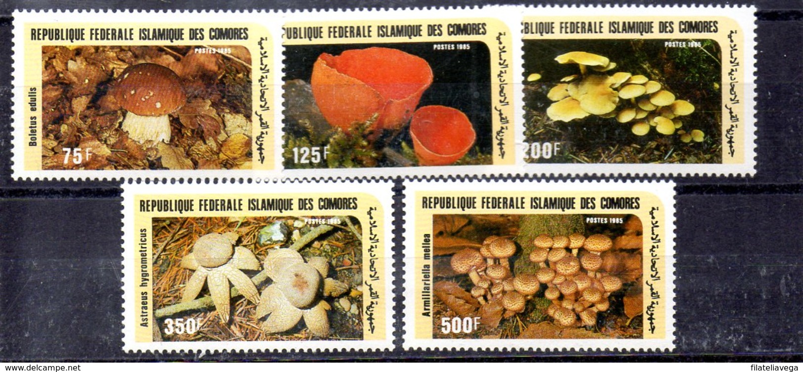 Serie De Comores N ºYvert 435/39 ** SETAS (MUSHROOMS) - Hongos