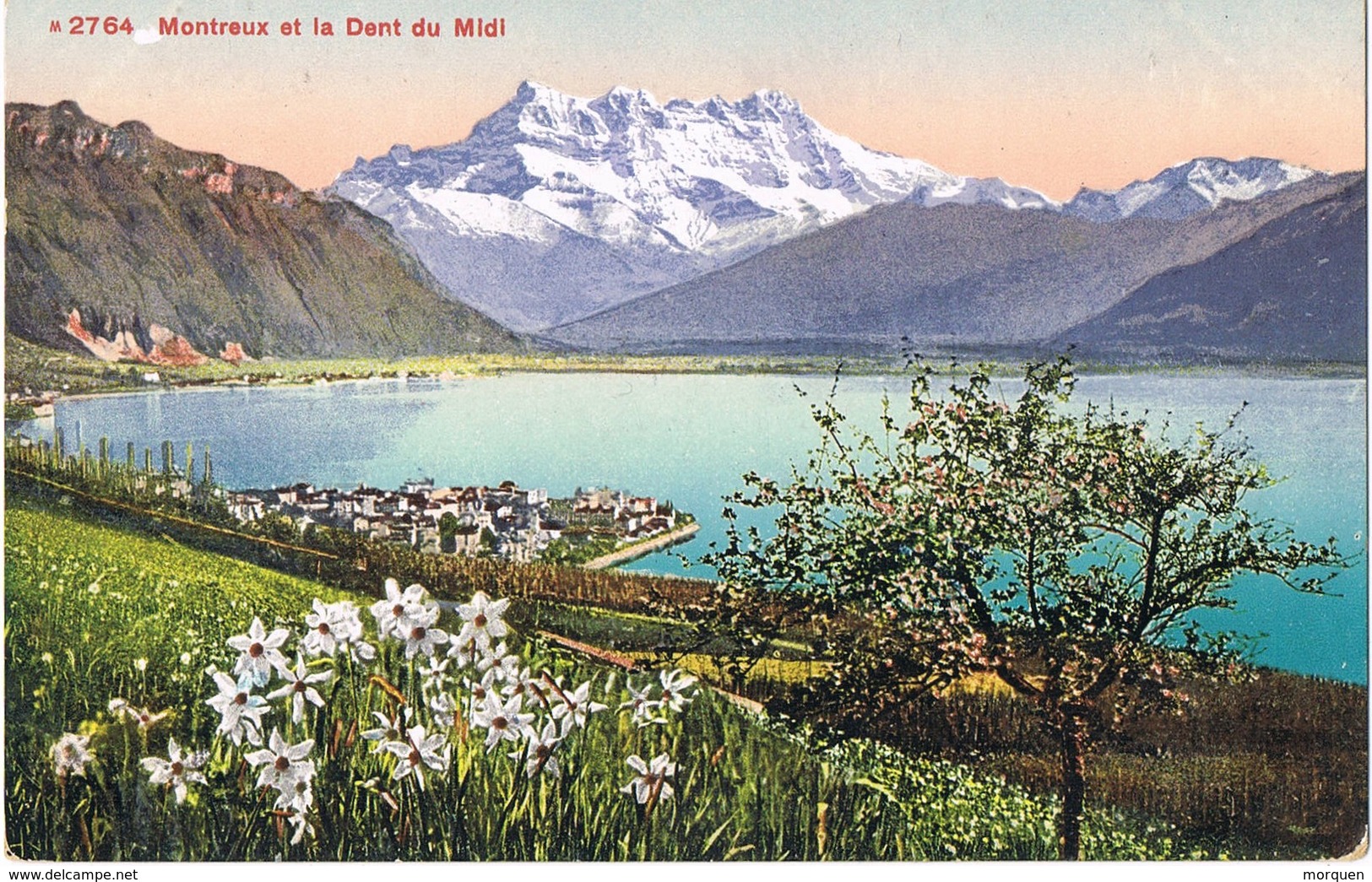 31473. Postal MONTREUX (Vaud) . Ville Et Le Dent Du Midi - Montreux