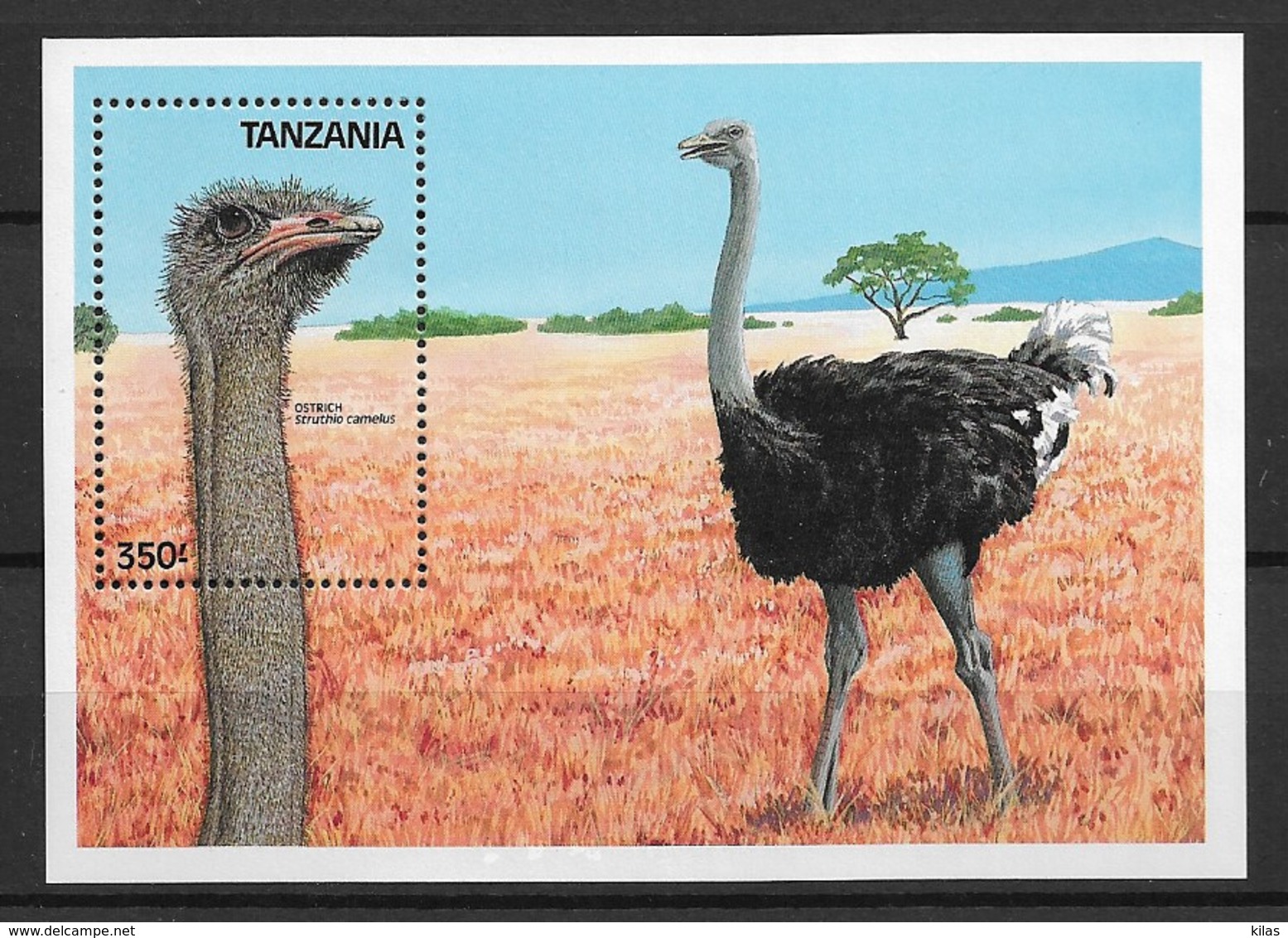 TANZANIA 1989 Birds "ostrich" - Autruches
