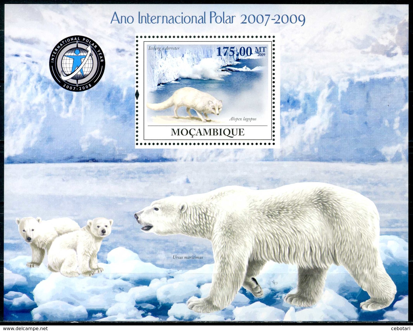 MOZAMBIQUE 2009** - International Polar Year - Block MNH, Come Da Scansione - Année Polaire Internationale