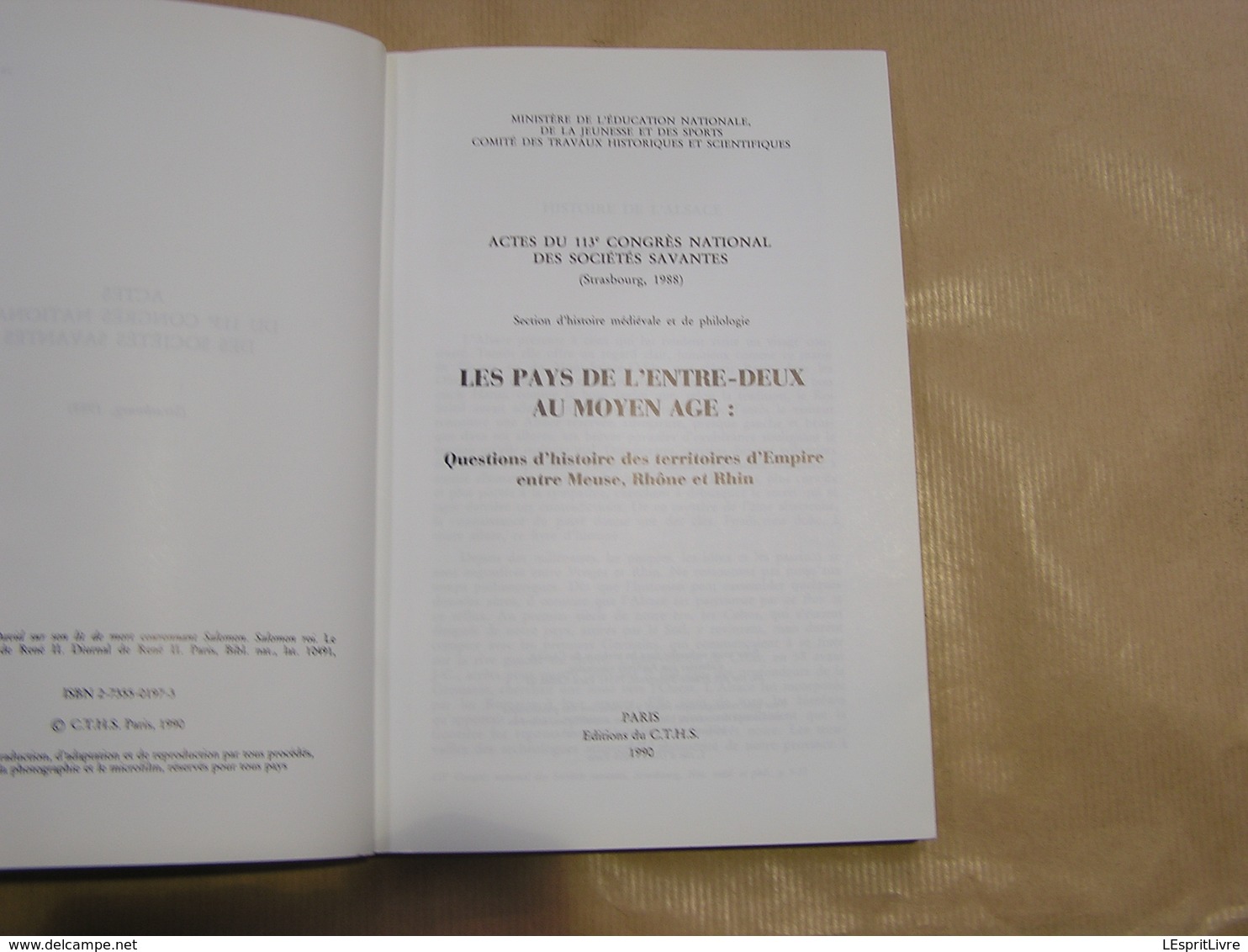 LE PAYS DE L' ENTRE DEUX AU MOYEN AGE Histoire France Alsace Lyon Vosges Route Maritime Rhin Bâle Strasbourg Noblesse - History