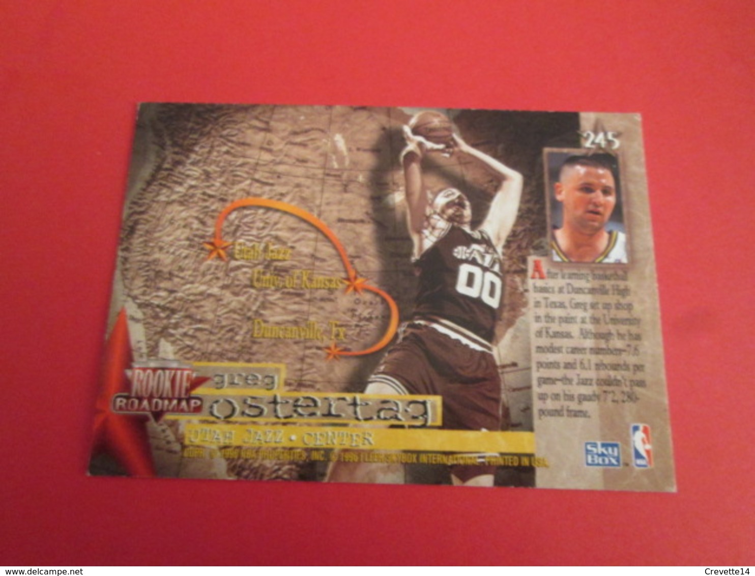 1226-1250 : TRADING CARD BASKET NBA SKYBOX 1995-96  : N°245 GREG OSTERTAG - Autres & Non Classés