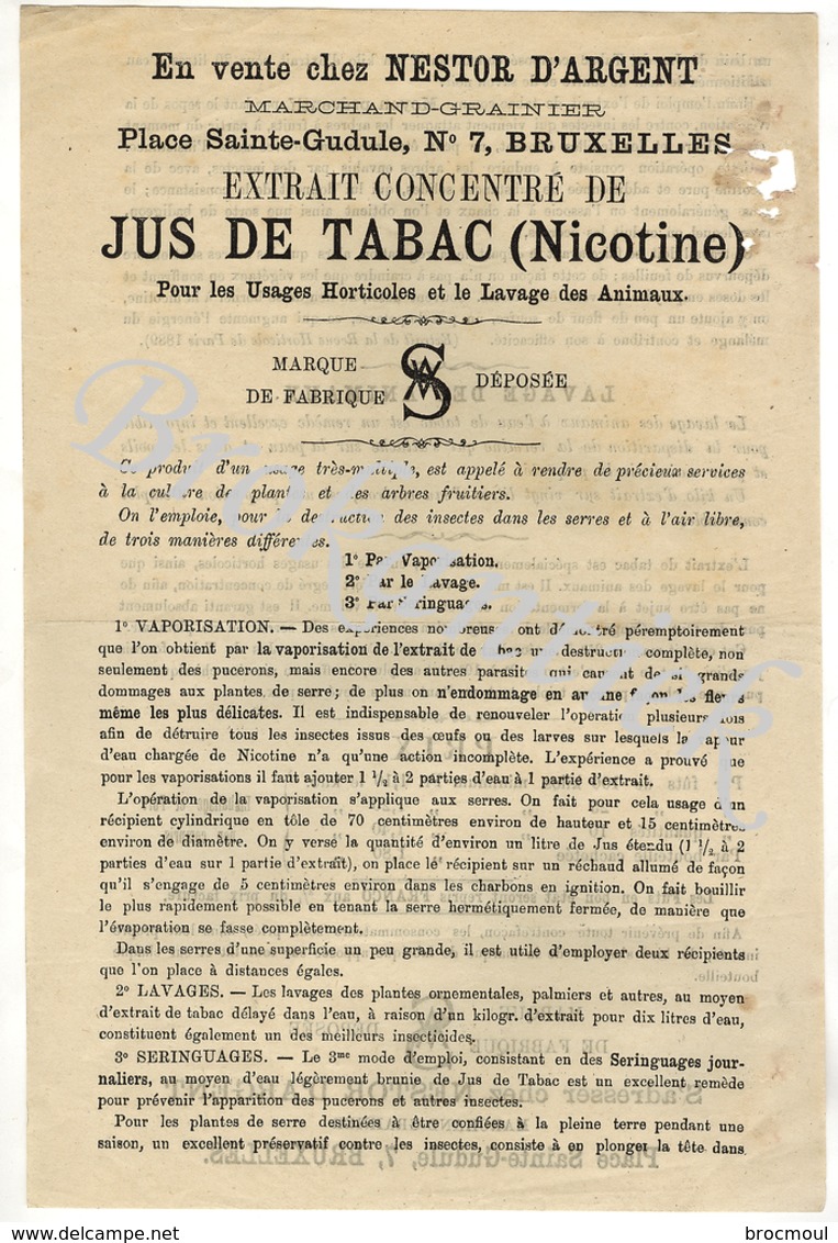 NESTOR D'ARGENT  Bruxelles Pl. St Gudule 7, Vend Extrait Concentré De JUS DE TABAC (NICOTINE) Publicité  Vers 1900 - 1800 – 1899