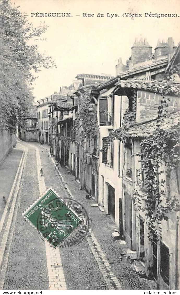 Périgueux        24          Rue Du Lys     ( Voir Scan) - Périgueux