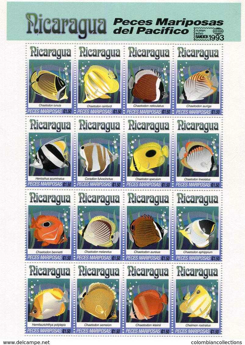 Lote 1962, Nicaragua, 1993, Pliego, Sheet, Vida Marina. Marine Life. Peces Mariposa. Butterflyfish, Fish, Bangkok 93 - Nicaragua