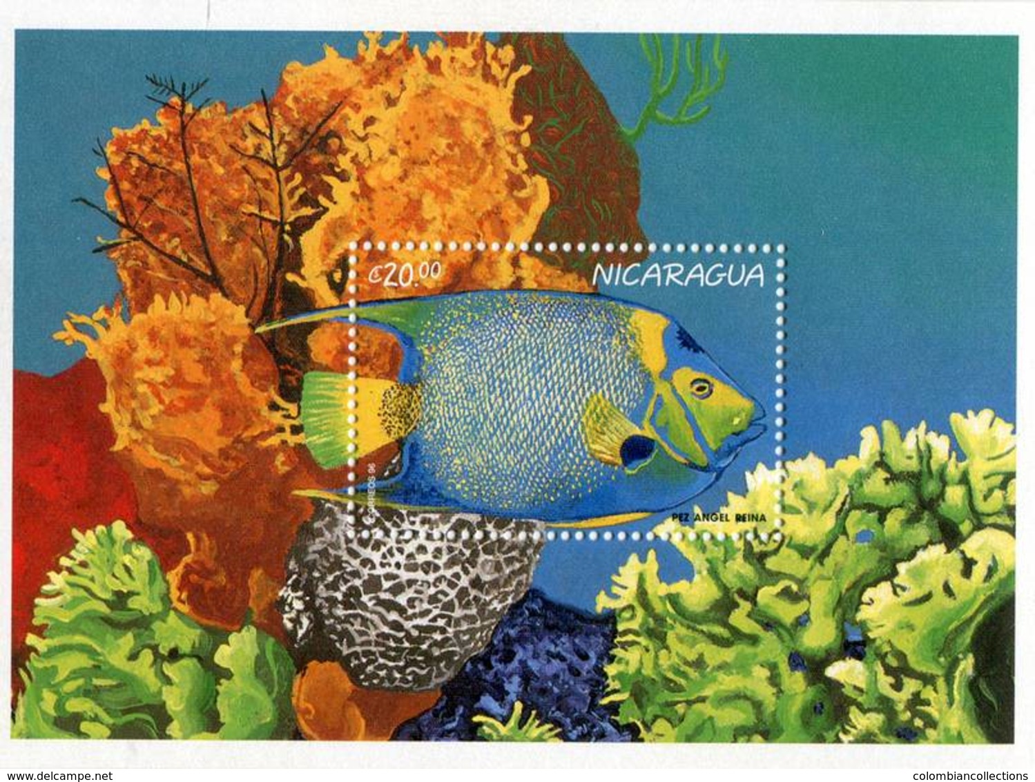 Lote 2189-90, Nicaragua, 1996, HF, SS, 2 V, Vida Marina. Marine Life. Pez, Fish. - Nicaragua