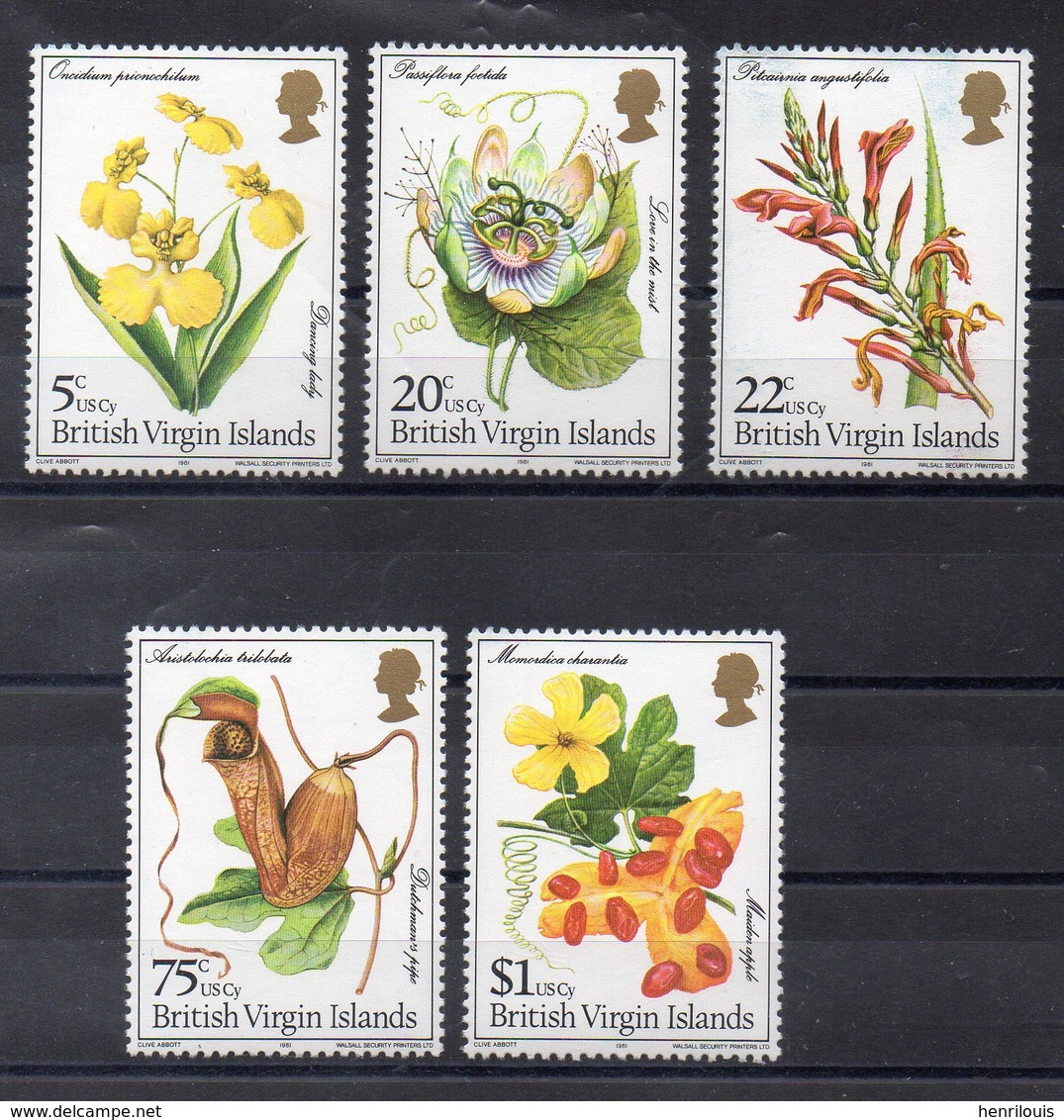 Iles VIERGES  Timbres Neufs ** De 1981   ( Ref 6060 )fleurs - Orchidées - Iles Vièrges Britanniques