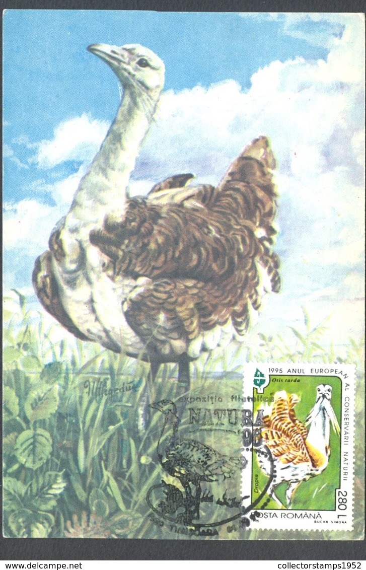 75917- GREAT BUSTARD, BIRDS, MAXIMUM CARD, 1996, ROMANIA - Sonstige & Ohne Zuordnung