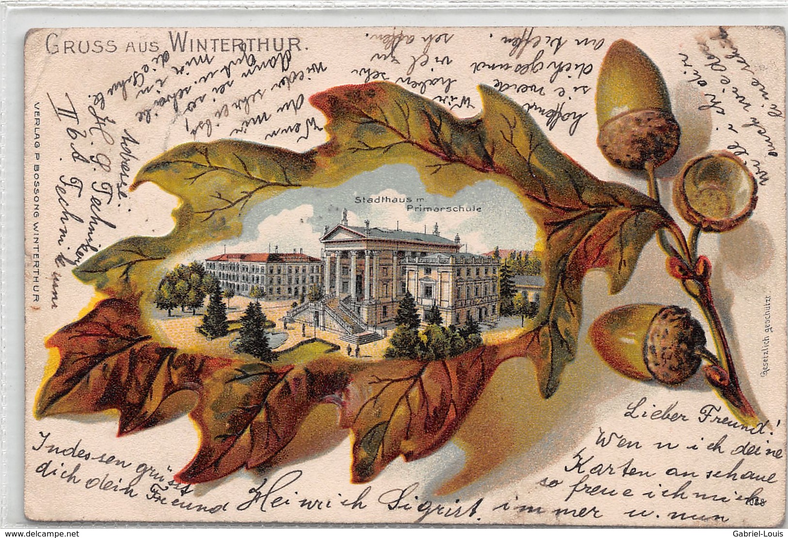 Gruss Aus Winterthur - Stadthaus Primarschule -  Eichenblatt -  Eichel - Litho - Winterthur