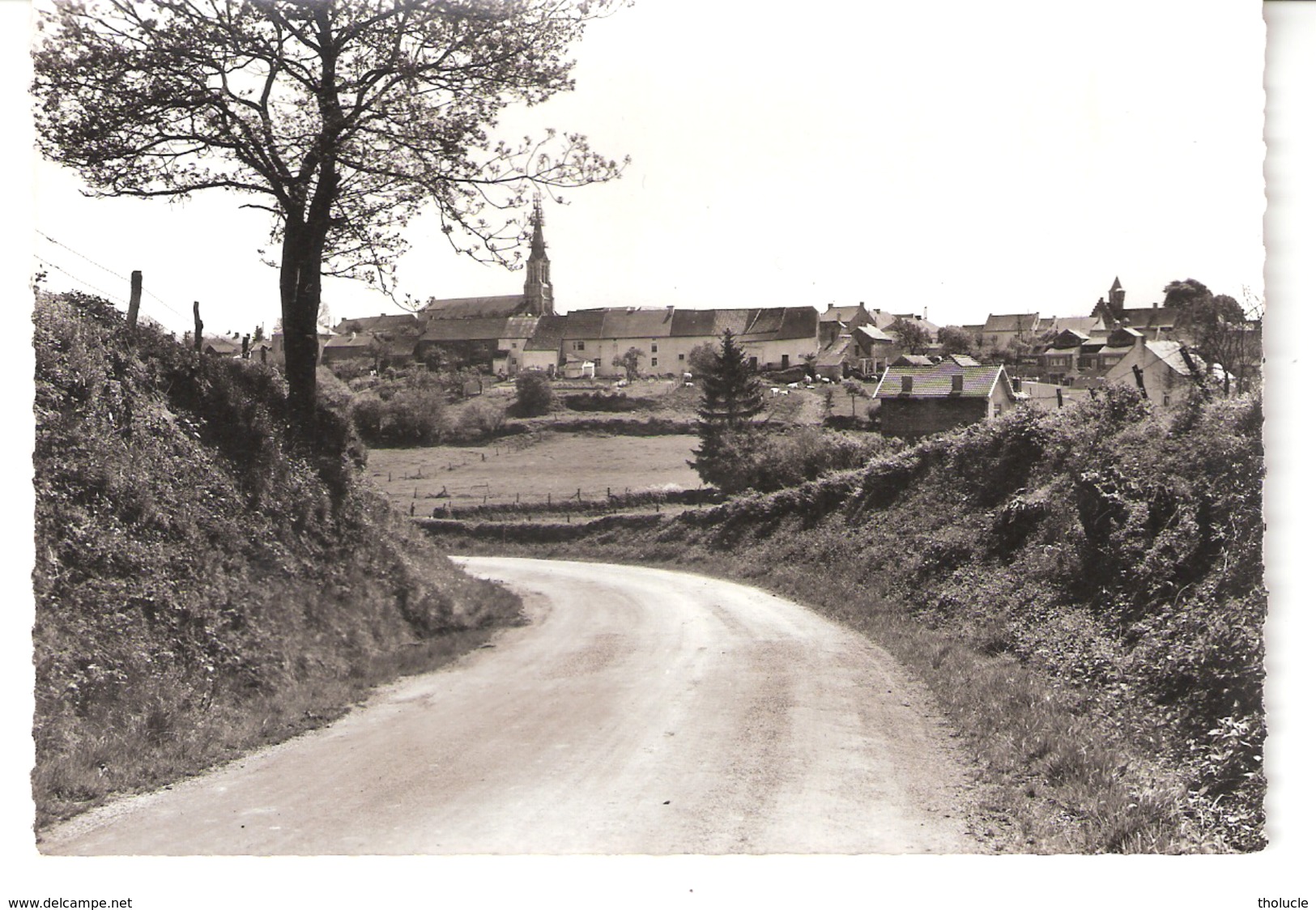 Senzeilles-Senzeille (Cerfontaine-Philippeville)-Vue Du Village Et De L'Eglise St Martin-Edit.Maison Dujeux-Charloteaux, - Cerfontaine