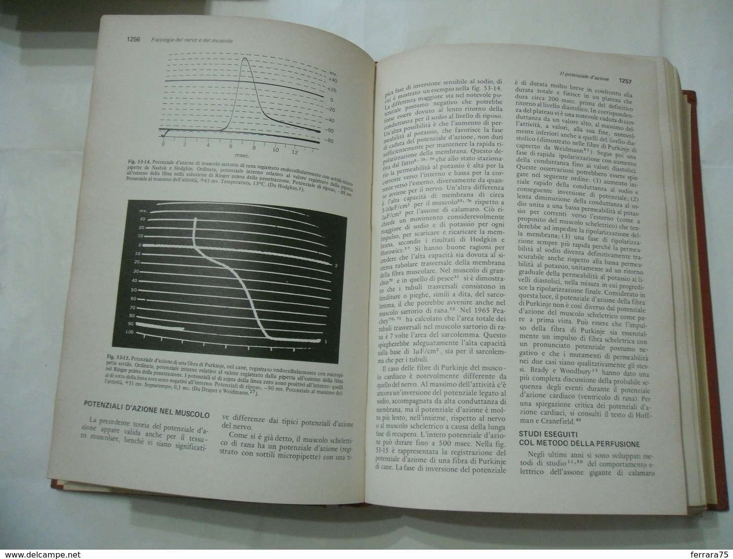 Trattato Di Fisiologia Medica Vol. II Piccin Mountcastle Vernon B. Medicina - Geneeskunde, Biologie, Chemie