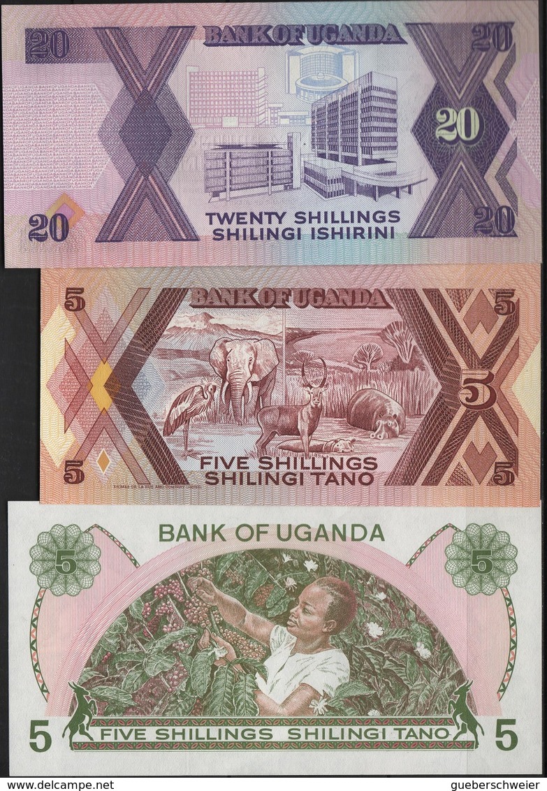 B 96 - OUGANDA Lot De 3 Billets états Neufs - Ouganda