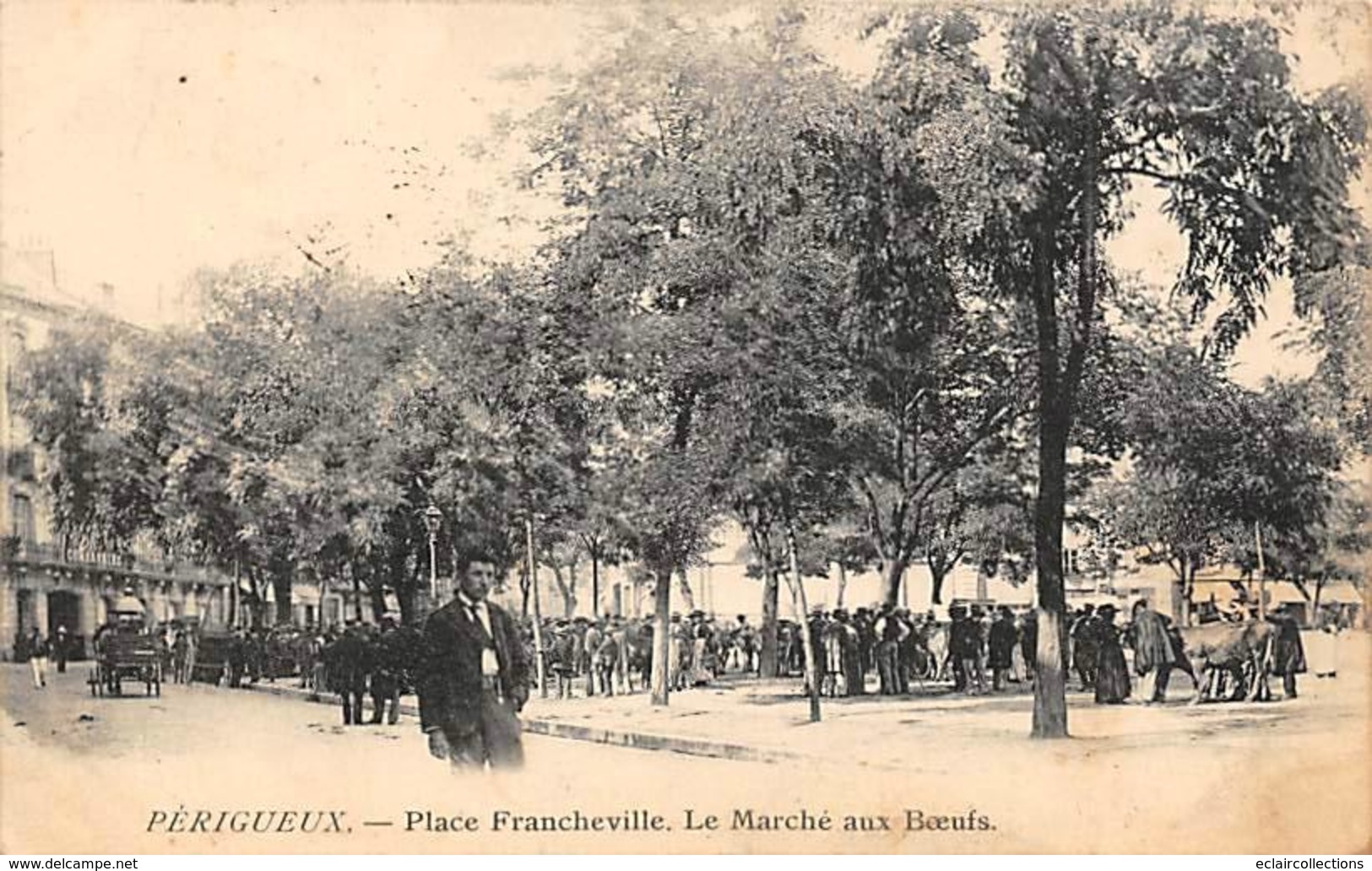 Périgueux         24        Place Francheville. Marché Aux Boeufs      (voir Scan) - Périgueux