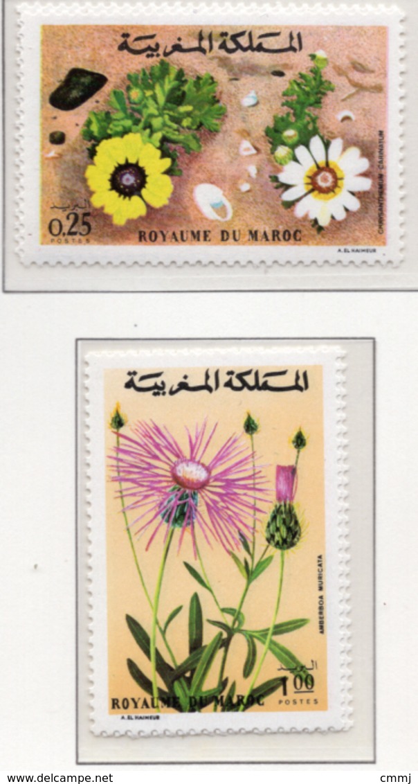 1973 - MAROCCO - MAROC - Yv:  Nr. 687+681 - NH - (UP121.2) - Marocco (1956-...)