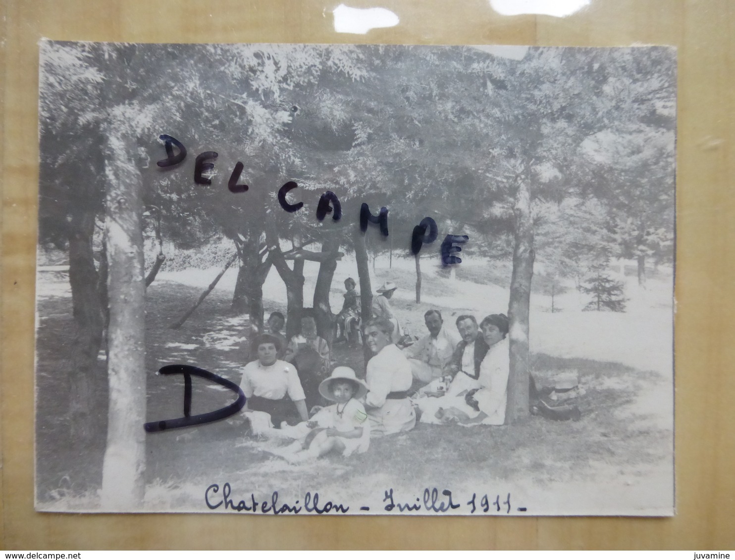 17 CHATELAILLON - FAMILLE BOURGEOISE EN FORET 1911 PHOTO - Châtelaillon-Plage