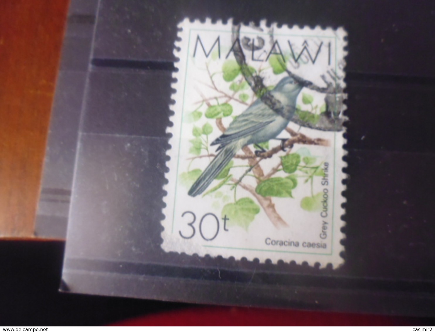 MALAWI  YVERT N°521 - Malawi (1964-...)