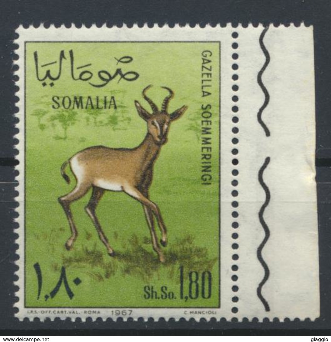 °°° SOMALIA - Y&T N°65 - 1967 MNH °°° - Somalia (1960-...)