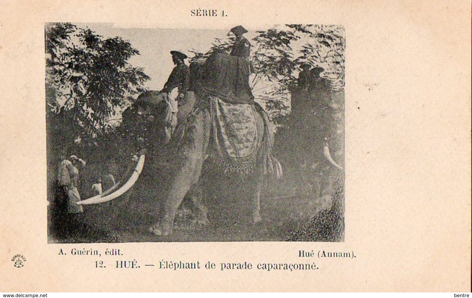 ANNAM - Hué - Eléphant De Parade Caparaçonné - Viêt-Nam