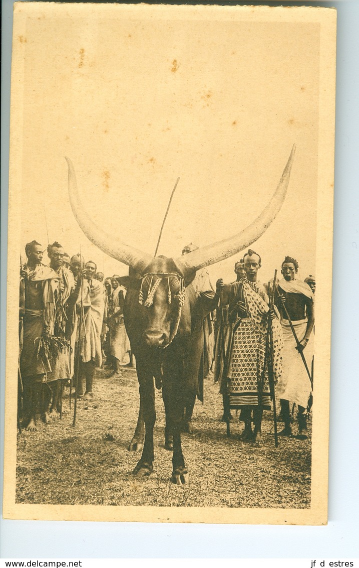 9 CP Ruanda Urundi "Bétail" Vaches Sacrées... Ed. Jos Dardenne 1 Carnet Sér. 2 B. Vers 1930 Ethnographie Rwanda Burundi - Ruanda-Urundi