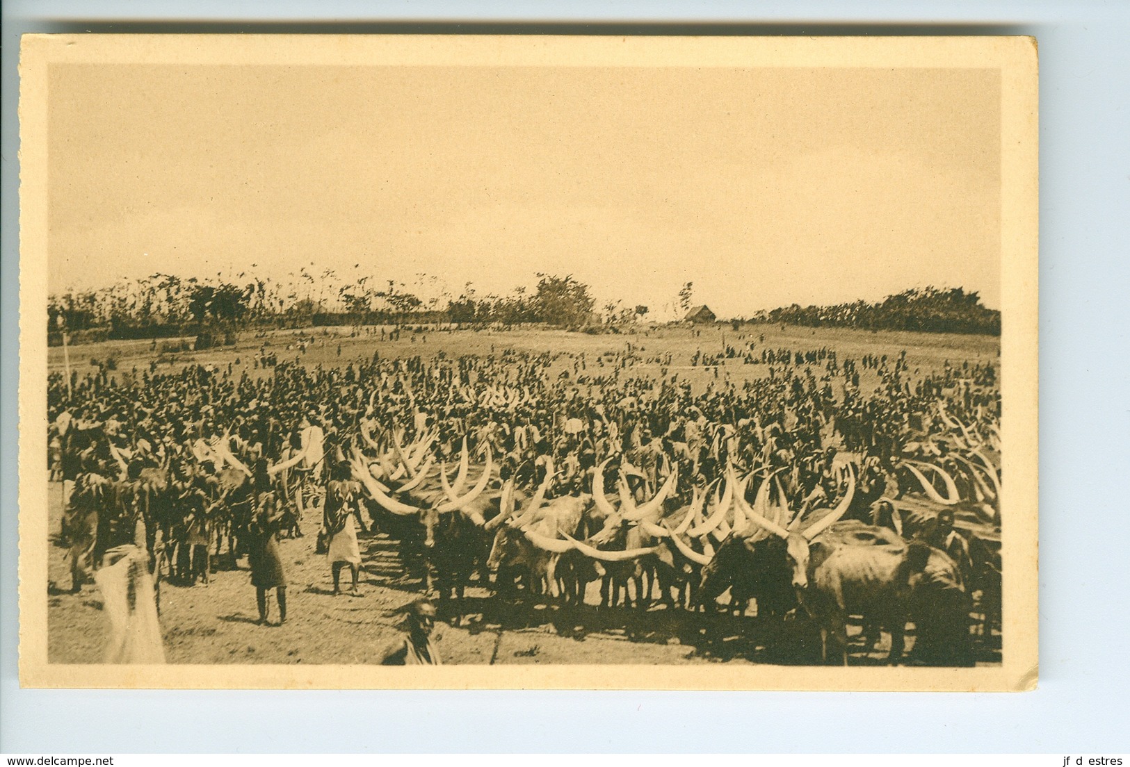 9 CP Ruanda Urundi "Bétail" Vaches sacrées... Ed. Jos Dardenne 1 carnet sér. 2 B. Vers 1930 Ethnographie Rwanda Burundi