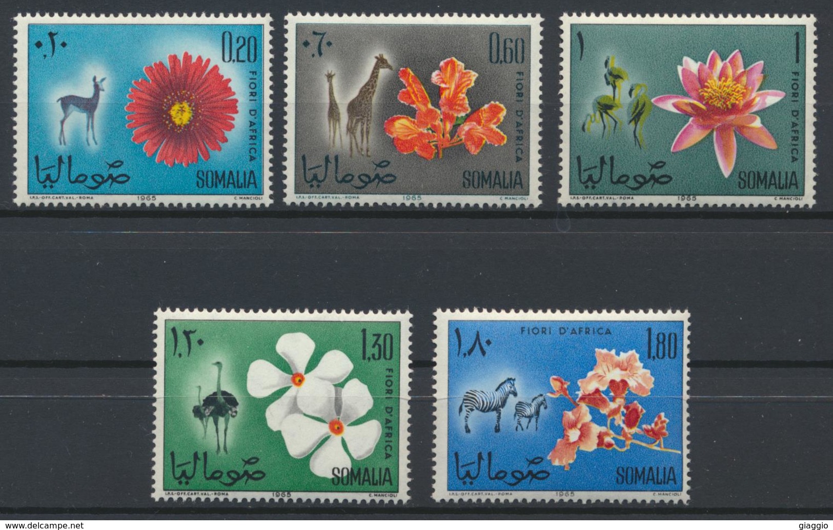 °°° SOMALIA - Y&T N°42/46 - 1965 MNH °°° - Somalia (1960-...)