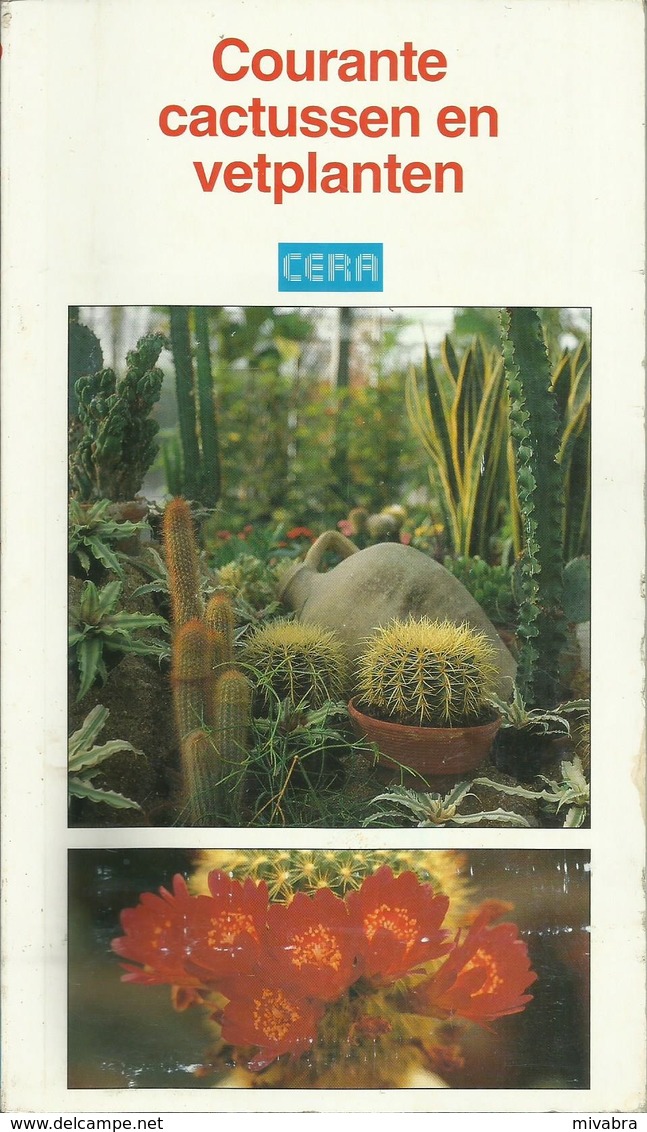 COURANTE CATUSSEN EN VETPLANTEN - Uitgave CERA - LANNOO 1994 - Sachbücher