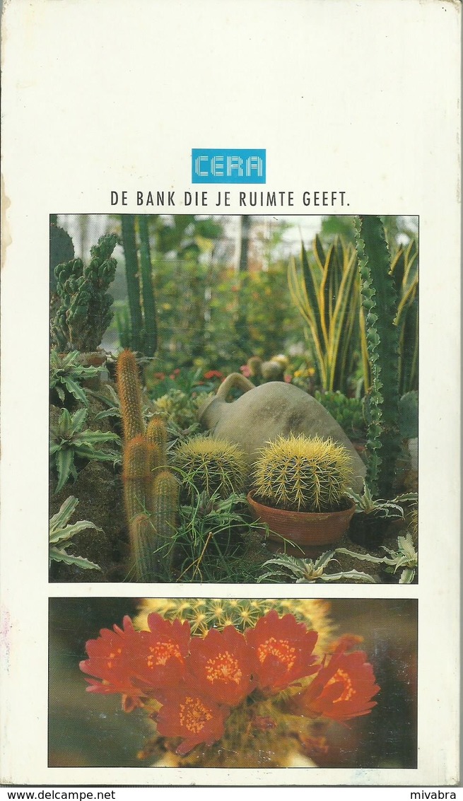 COURANTE CATUSSEN EN VETPLANTEN - Uitgave CERA - LANNOO 1994 - Practical