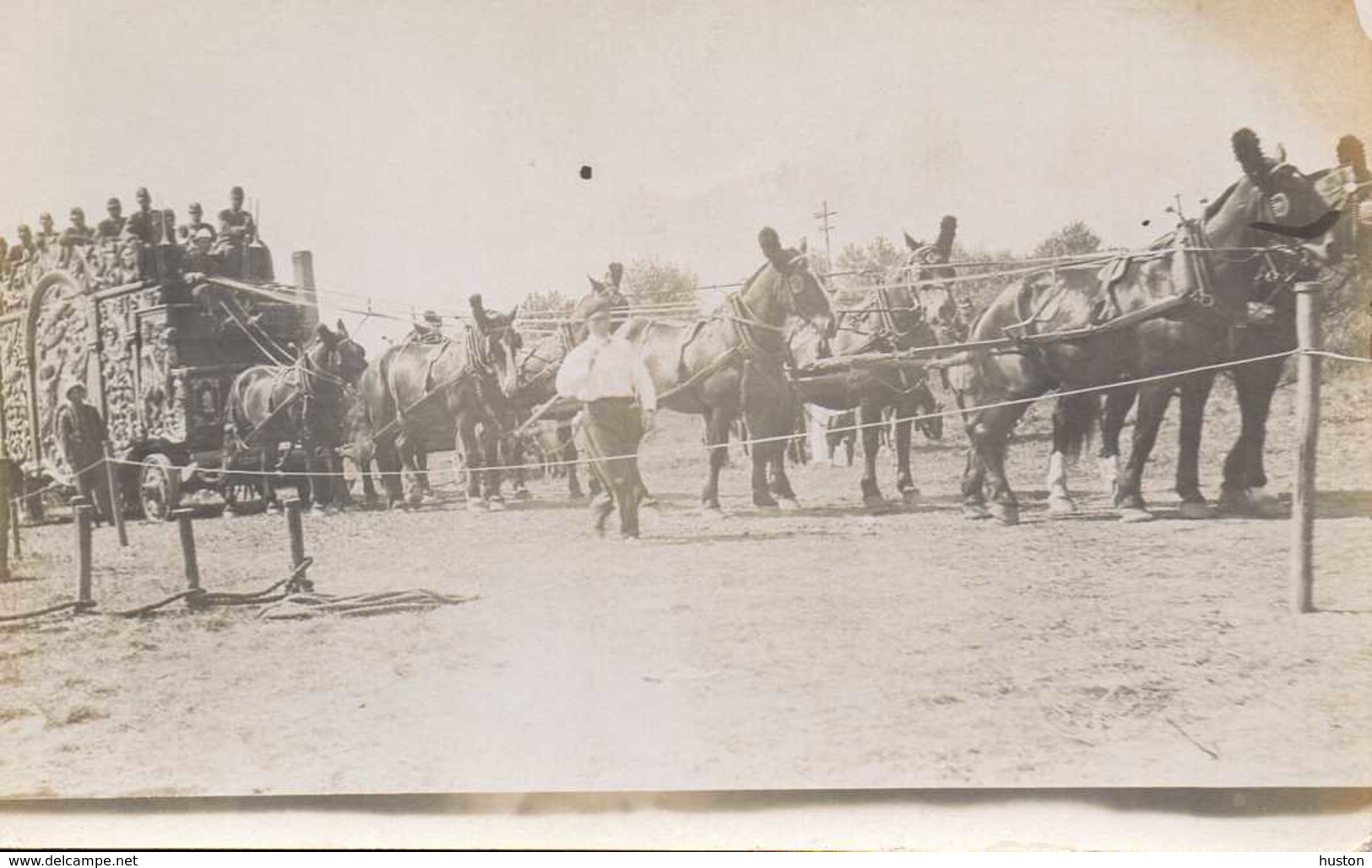 Parade Cirque BARNUM Et BAILEY - CARTE PHOTO - Cirque