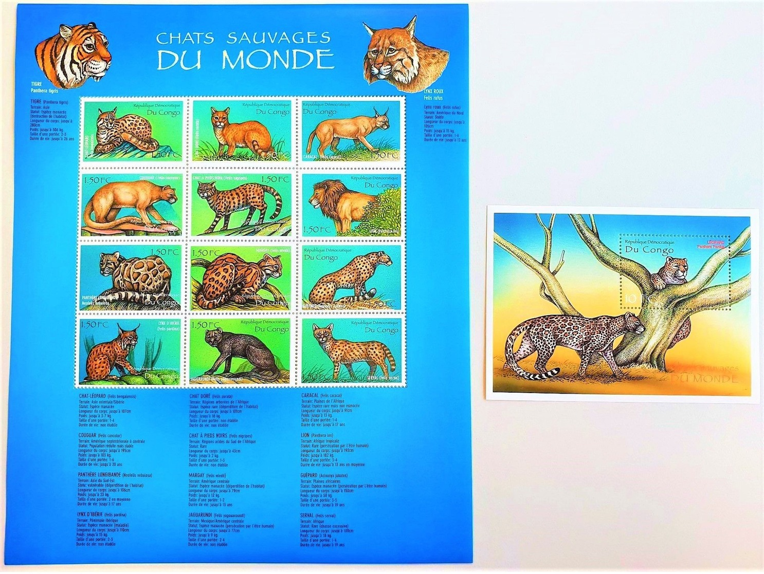 # Congo 2000**Mi.1438-50 Cat Species From All Over The World  , MNH [26;19] - Sonstige & Ohne Zuordnung