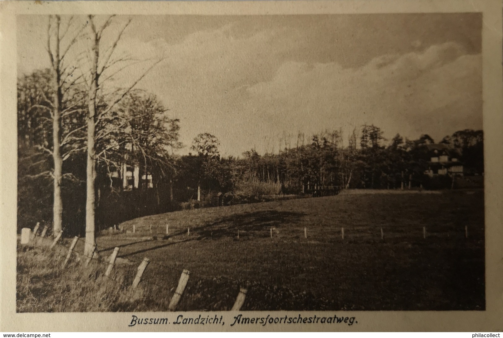 Bussum // Landzicht - - Amersfoortschestraatweg 1924 - Bussum