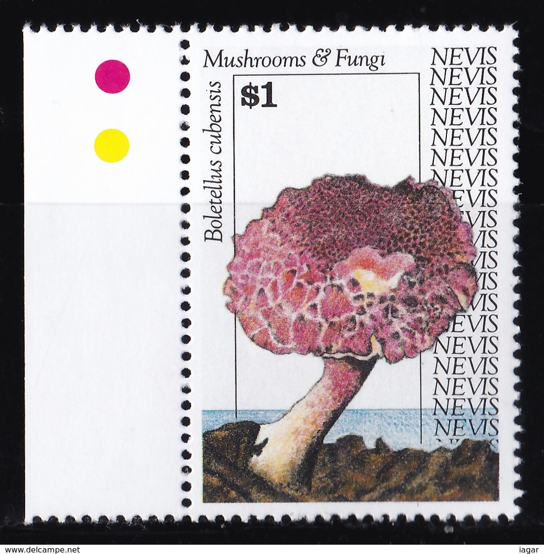 THEMATIC MUSHROOM - NEVIS - Funghi