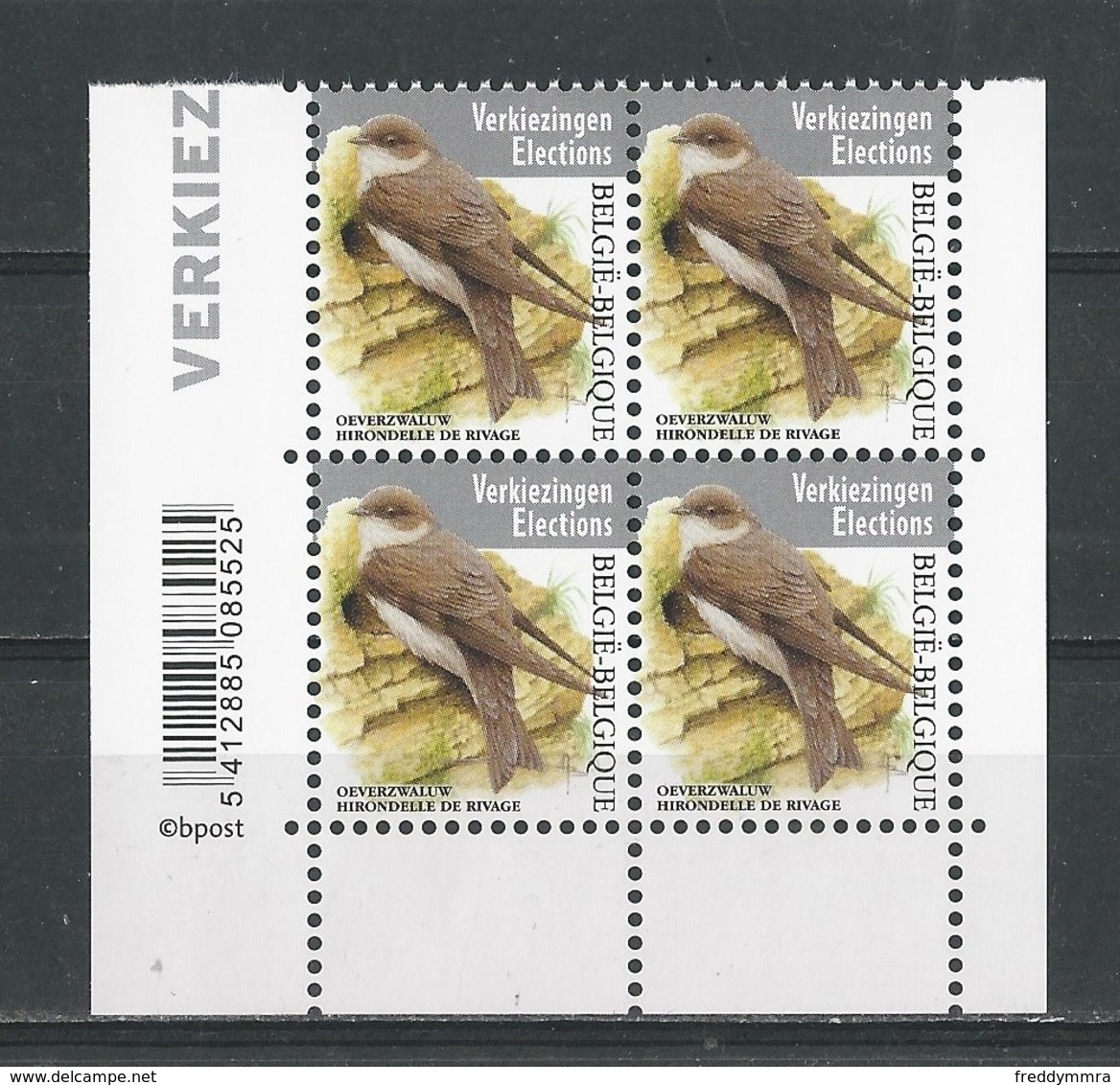 Belgique: Nouveauté 2019 (Hirondelle De Rivage - Buzin ) Bloc De 4 - 1985-.. Oiseaux (Buzin)