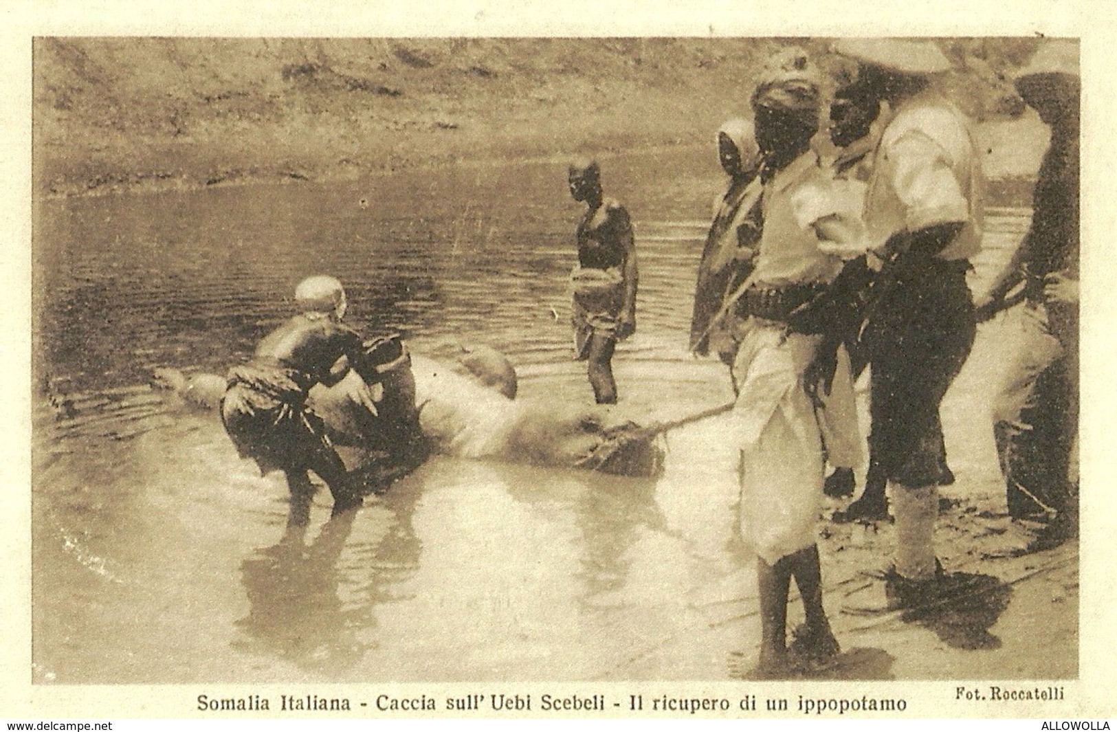 2513 " SOMALIA ITALIANA-CACCIA SULL'UEBI SCEBELI-IL RICUPERO DI UN'IPPOPOTAMO" CARTOLINA ORIGINALE NON SPEDITA - Somalie