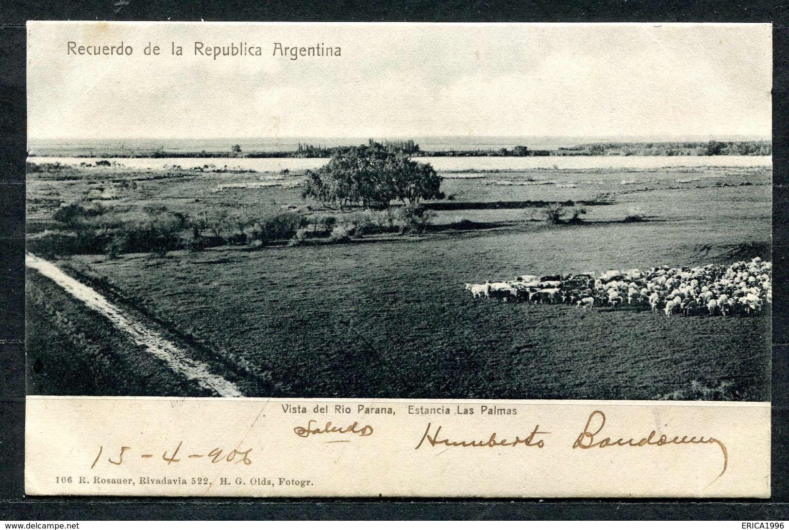 CARTOLINA CV2363 ARGENTINA Rio Parana, Estancia Las Palmas, 1906, Viaggiata Per L'Italia, Formato Piccolo, Ottime Condiz - Argentina