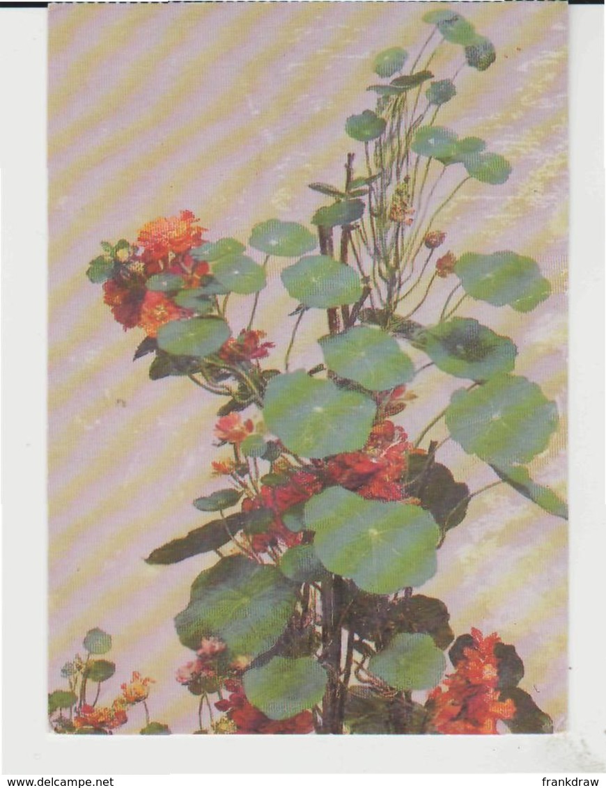 Postcard - Art - Henri Fantin-Latour - Nasturtiums 1880 London  Unused  Very Good - Non Classés