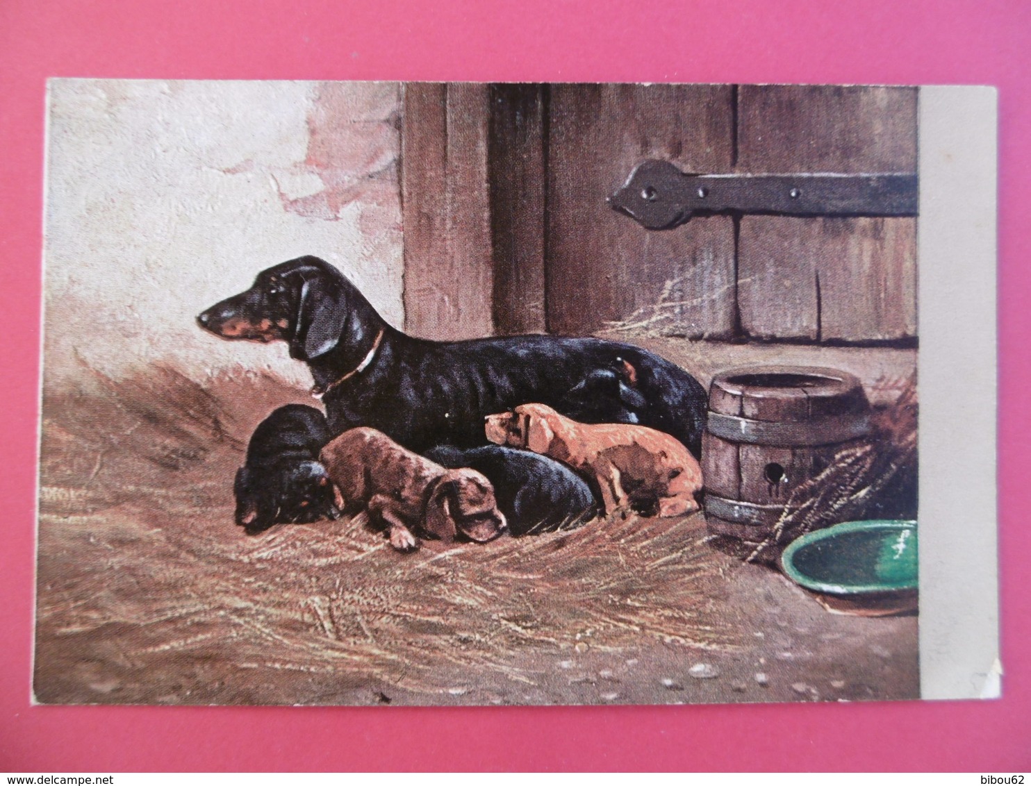 CARTE FANTAISIE  - Thème Du Chien - TECKEL - Chiens