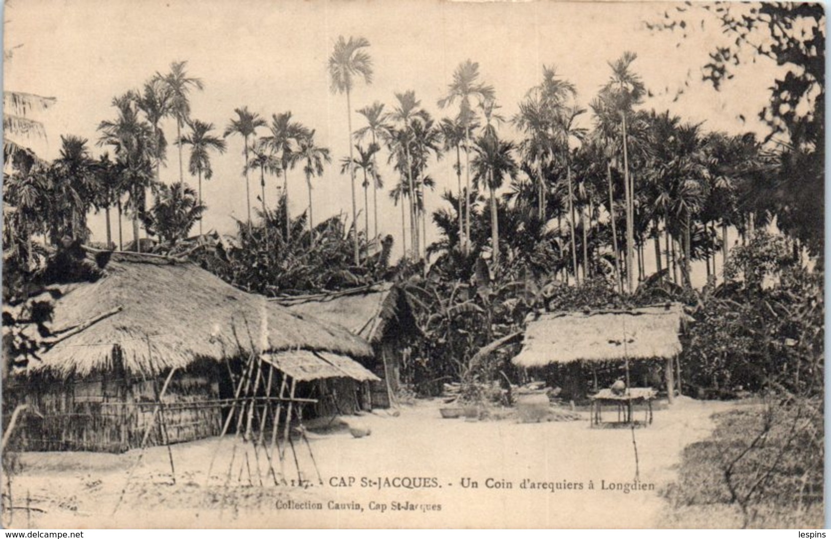 ASIE - VIÊT NAM -- Cap St Jacque - Un Coin D'Arequiers à Longdien - Vietnam