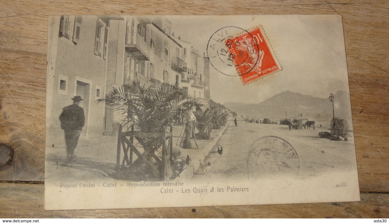 CALVI : Les Quais Et Les Palmiers  ................JK-2198 - Calvi