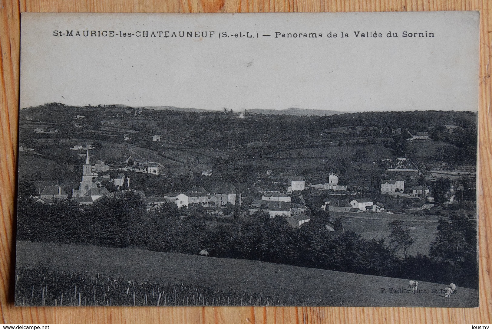 71 : St-Maurice-les-Châteauneuf - Panorama De La Vallée Du Sornin - (n°14229) - Autres & Non Classés