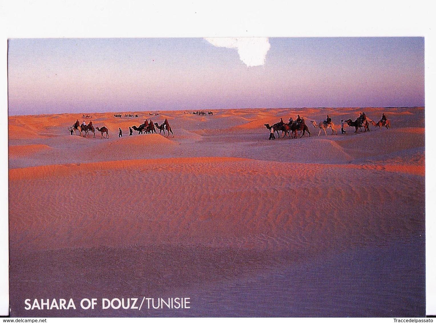 CARTOLINA TUNISIA - SAHARA OF DOUZ - POSTCARD WITH STAMP - TUNIS - 2003 - Tunisia