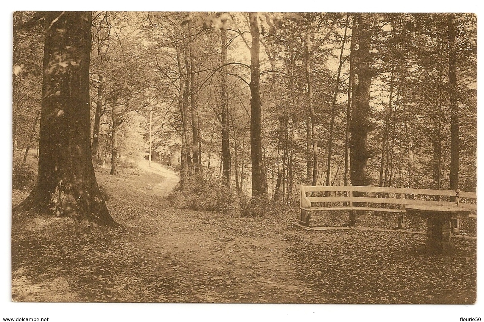 Domaine De MARIEMONT - Royaume De Belgique. Le Parc. Lot De 9 Cartes Postales Anciennes. - Morlanwelz