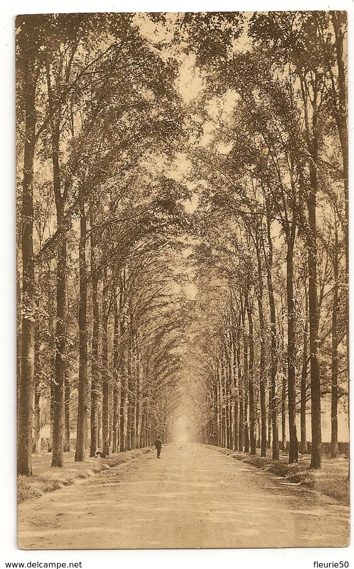 Domaine de MARIEMONT - Royaume de Belgique. Le Parc. Lot de 9 cartes postales anciennes.