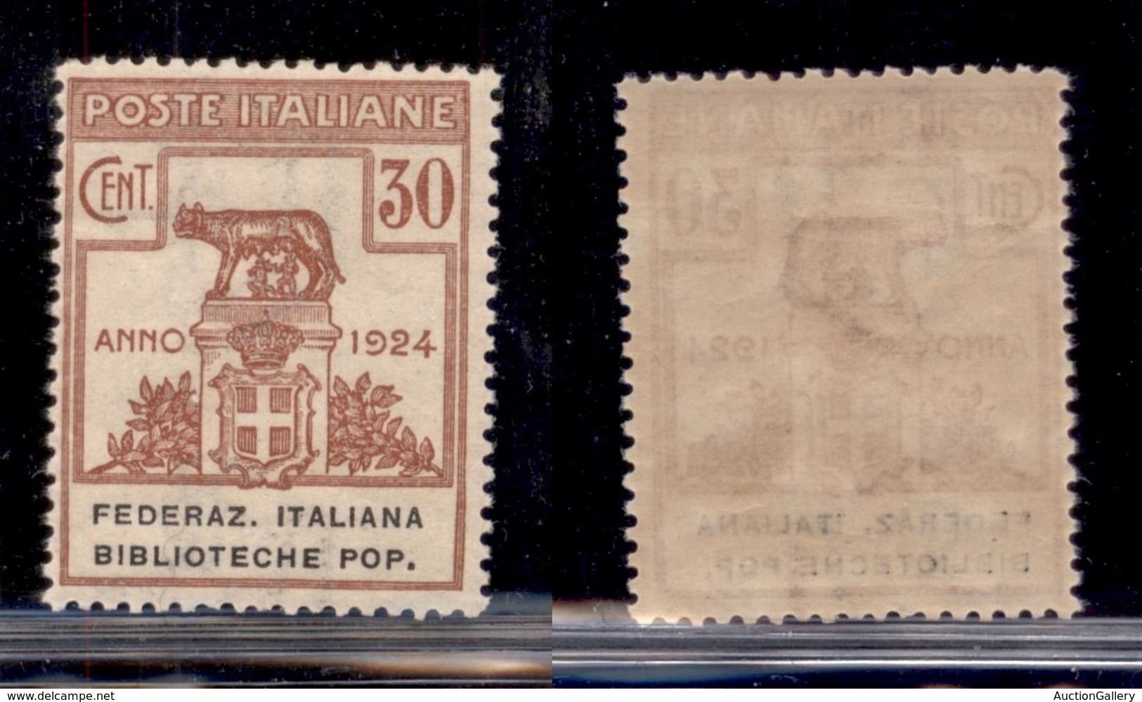 REGNO D'ITALIA - 1924 - Enti Parastatali - 30 Cent Biblioteche Pop. (35) - Gomma Integra (325) - Other & Unclassified