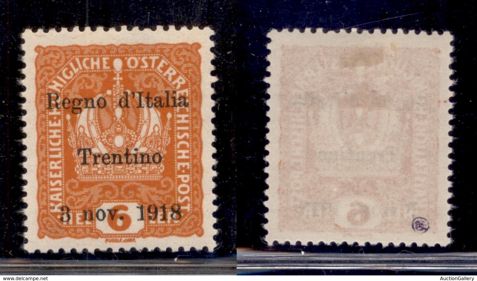 OCCUPAZIONI - TRENTINO - 1918 - 6 Heller (3) - Gomma Originale (160) - Andere & Zonder Classificatie