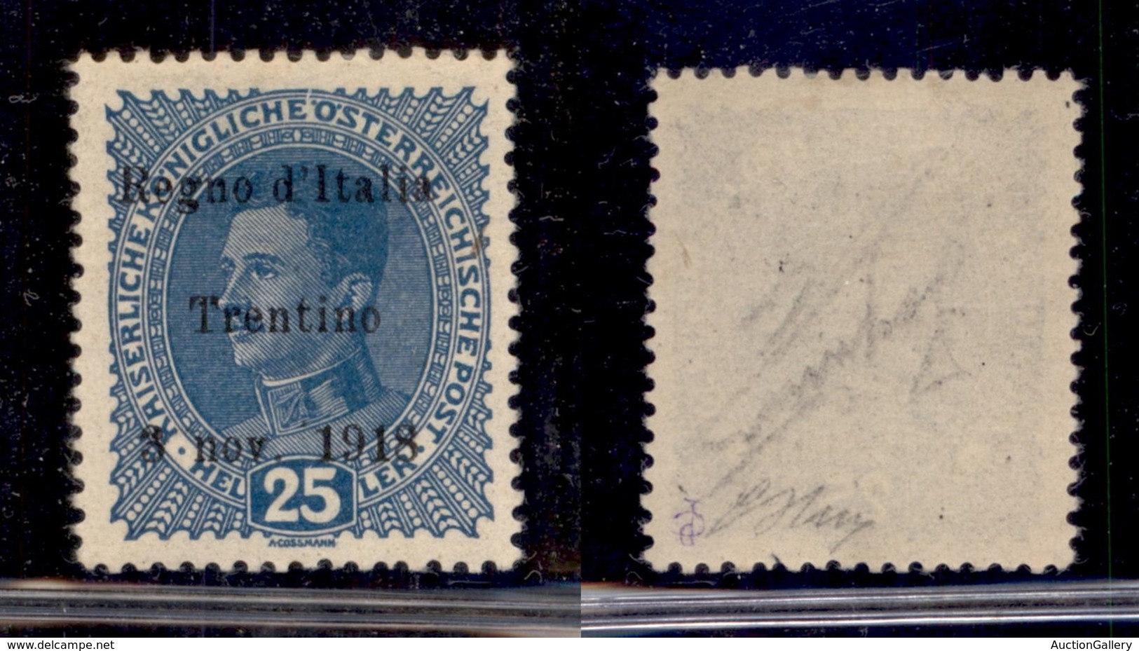 OCCUPAZIONI - TRENTINO - 1918 - 25 Heller (8) - Gomma Originale - Oliva (90) - Andere & Zonder Classificatie