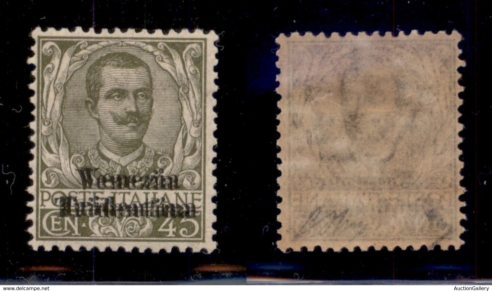 OCCUPAZIONI - TRENTINO - 1918 - 45 Cent (25b) Con Doppia Soprastampa - Gomma Originale - Oliva (1.000) - Andere & Zonder Classificatie
