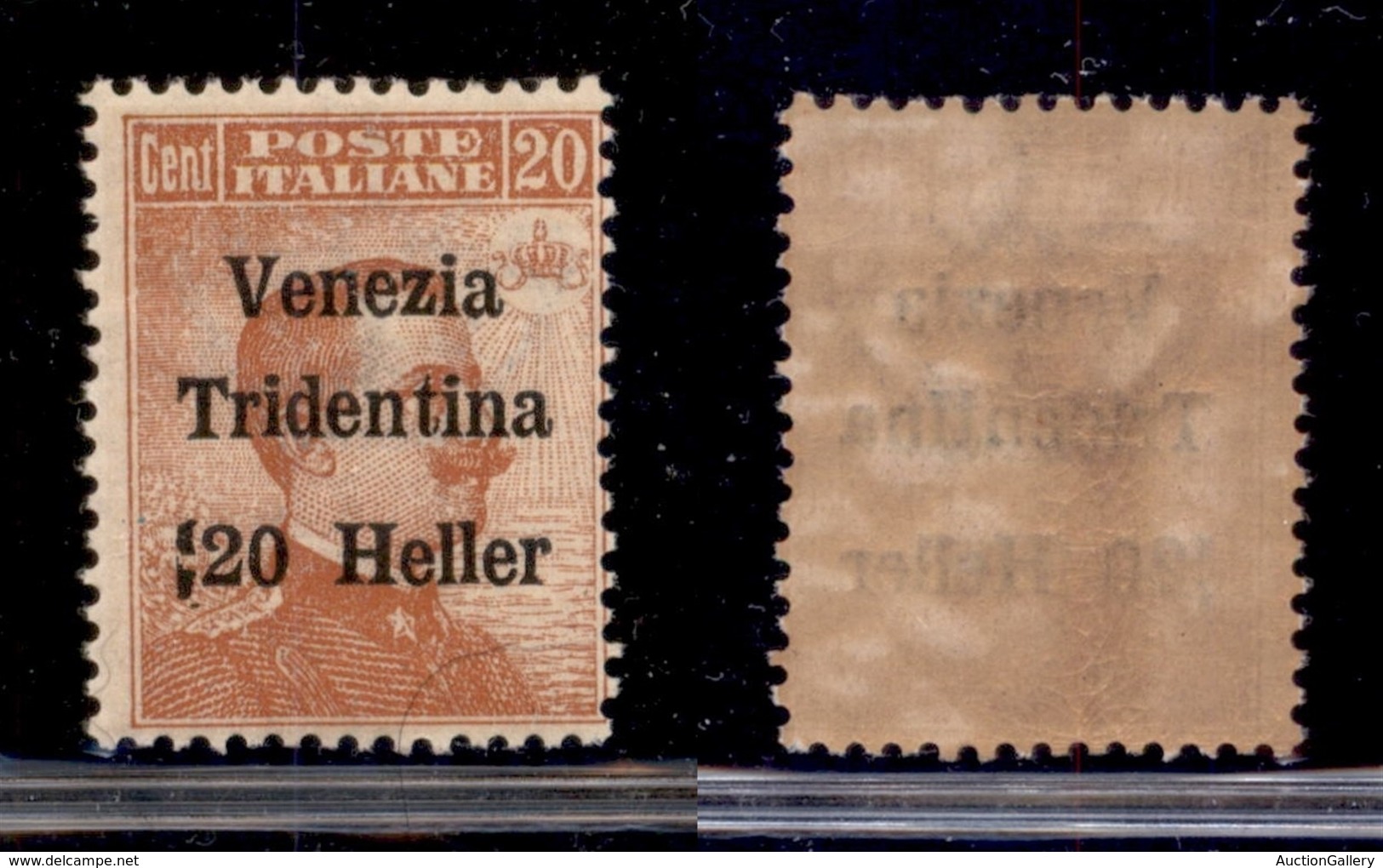OCCUPAZIONI - TRENTINO - 1918 - 20 Heller Su 20 (30 Varietà) - Spazio Tipografico A Sinistra Della Cifra - Gomma Integra - Autres & Non Classés