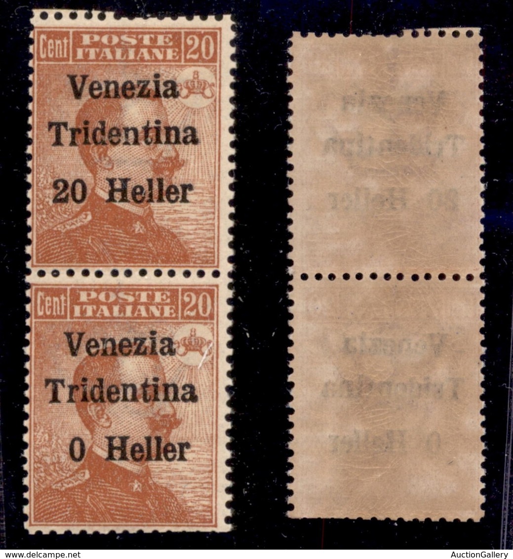 OCCUPAZIONI - TRENTINO - 1918 - 20 Heller Su 20 Cent (30 + 30c) - Coppia Verticale Senza 2 In Basso - Gomma Integra - De - Other & Unclassified